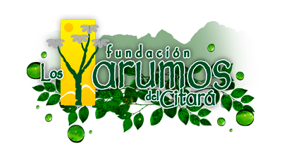 Yarumos